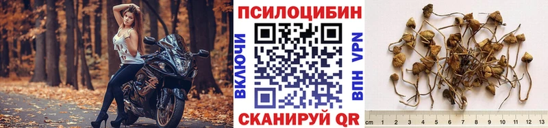 Купить закладки  Холм  Галлюциногенные грибы прущие грибы 