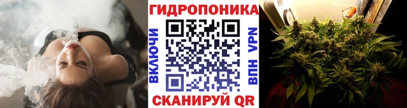 Купить  Холм  Бошки Шишки SATIVA & INDICA 